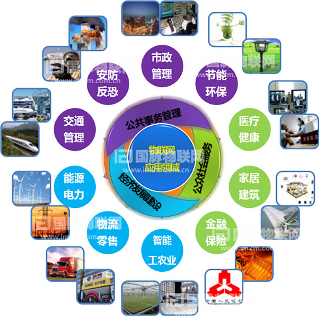 杨冰之：重视物联网在关键产业的应用