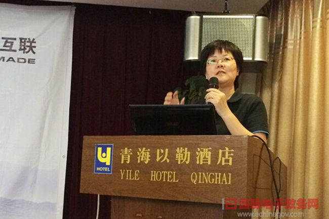 　庄闲游戏互联总经理、首席规划师郑爱军正在进行《政府网站+评估体系构建思路》的主题演讲