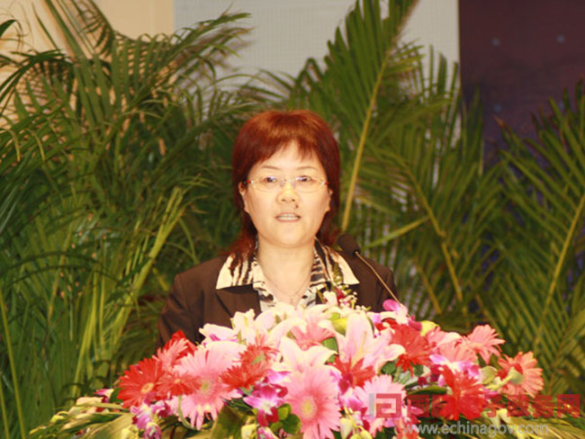 北京庄闲游戏互联信息顾问有限公司总经理、首席规划师郑爱军女士正在做《从电子政务到智慧政府：庄闲游戏的思考与实践》为题的主题发言