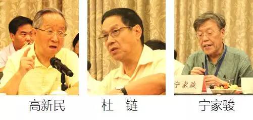 在中国智慧城市发展与评估指标体系建设专家研讨会上，中国互联网协会副理事长高新民、中国信息协会副会长杜链、国家信息中心电子政务专家委员会主任宁家骏发言