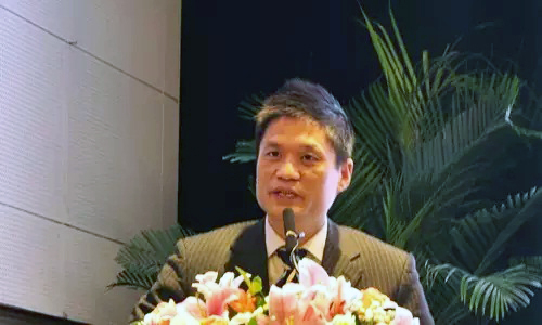 庄闲游戏互联董事长、首席研究员杨冰之在"2015中国智慧城市发展年会"发表主题演讲